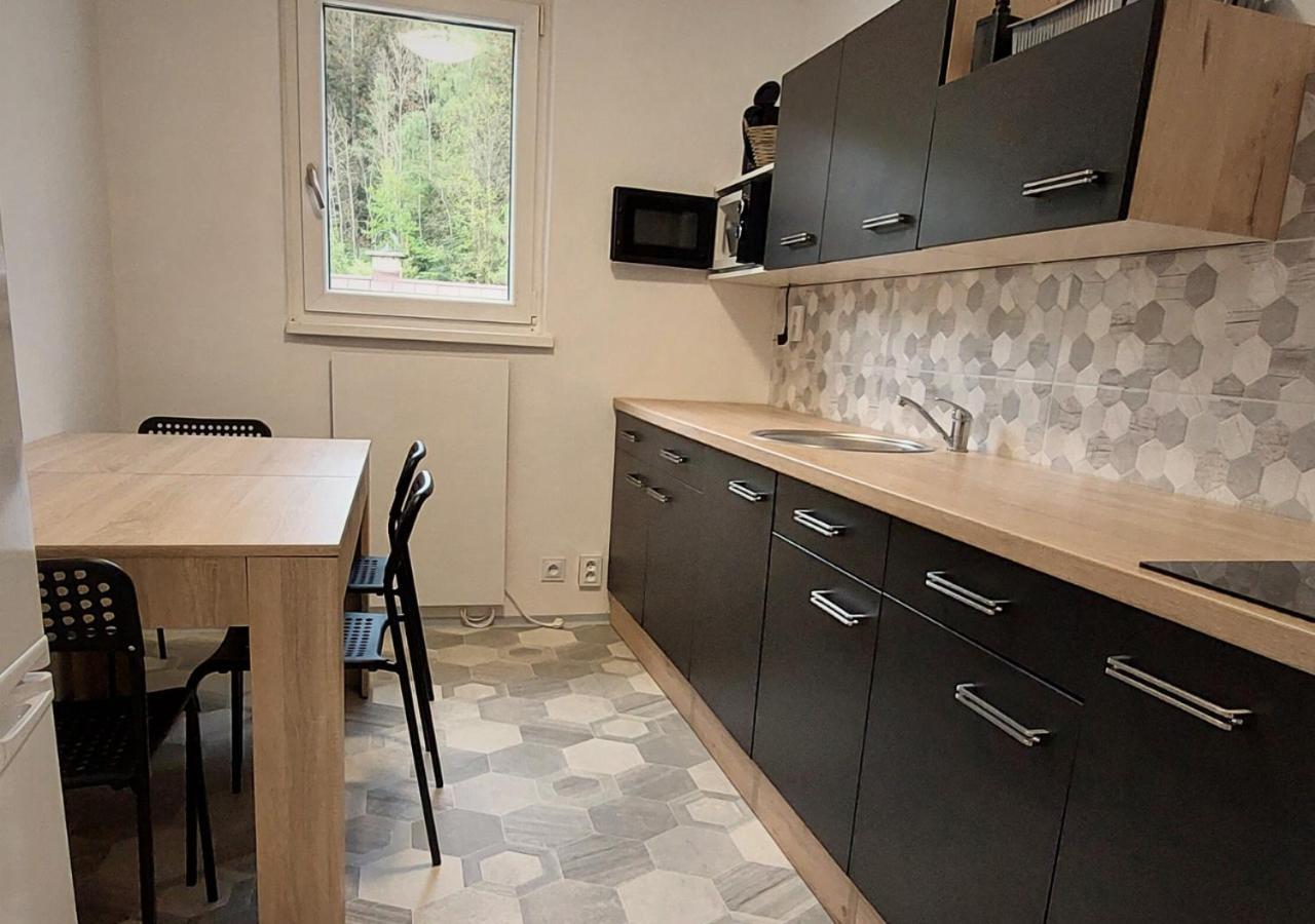 Apartmanek Jizerske Hory Josefŭv Dŭl Dış mekan fotoğraf